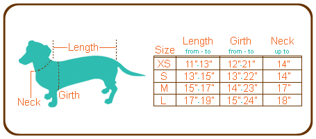 Mini Dachshund Size Chart
